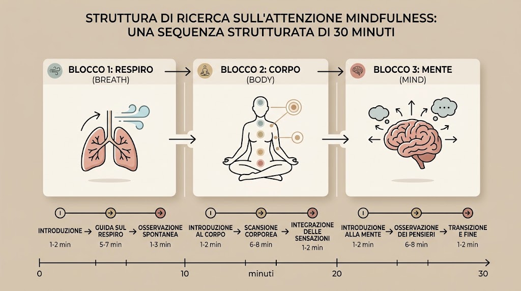 Diagramma della struttura di ricerca sull'attenzione mindfulness: tre blocchi di dieci minuti — respiro, corpo e mente — in una sequenza strutturata di 30 minuti